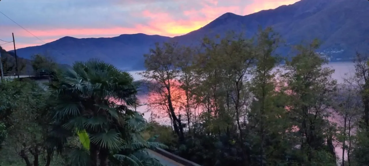 Villa Casa Le Palme à Pino Lago Maggiore Hébergement de vacances