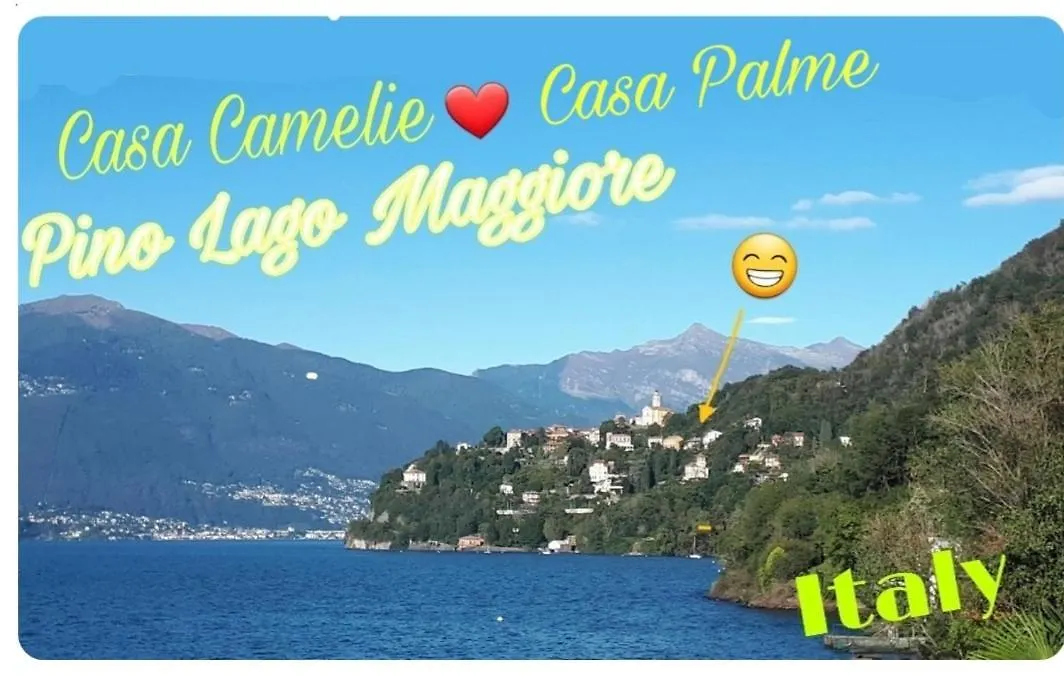 Casa Le Palme Villa Pino Lago Maggiore 0*,