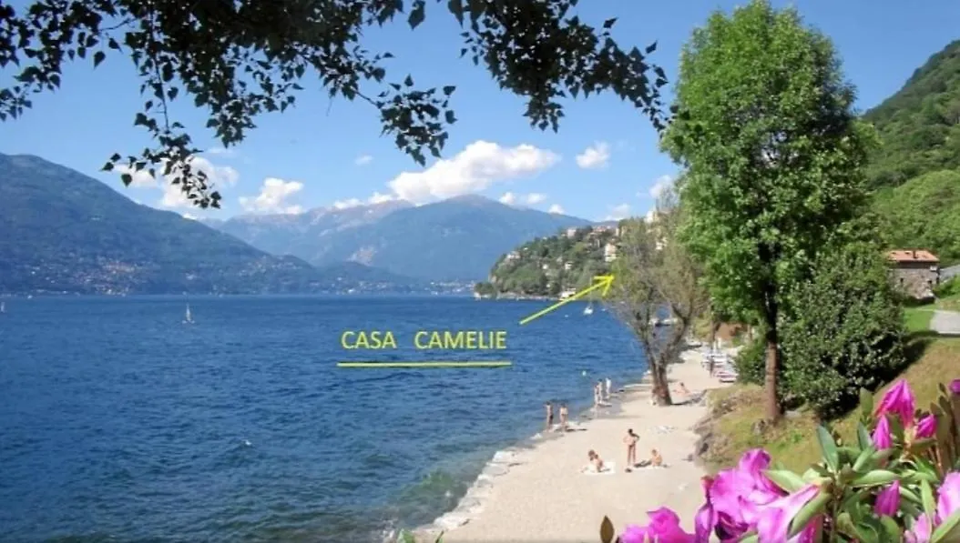 Casa Le Palme Villa Pino Lago Maggiore