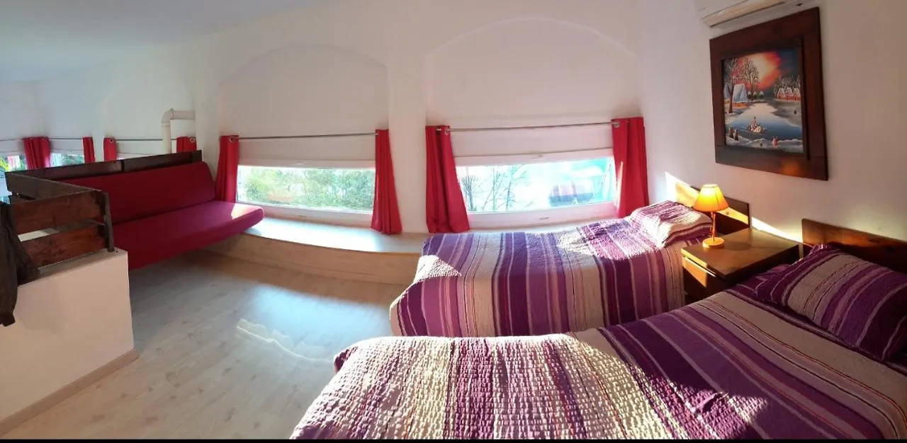 Casa Le Palme Villa Pino Lago Maggiore Holiday home