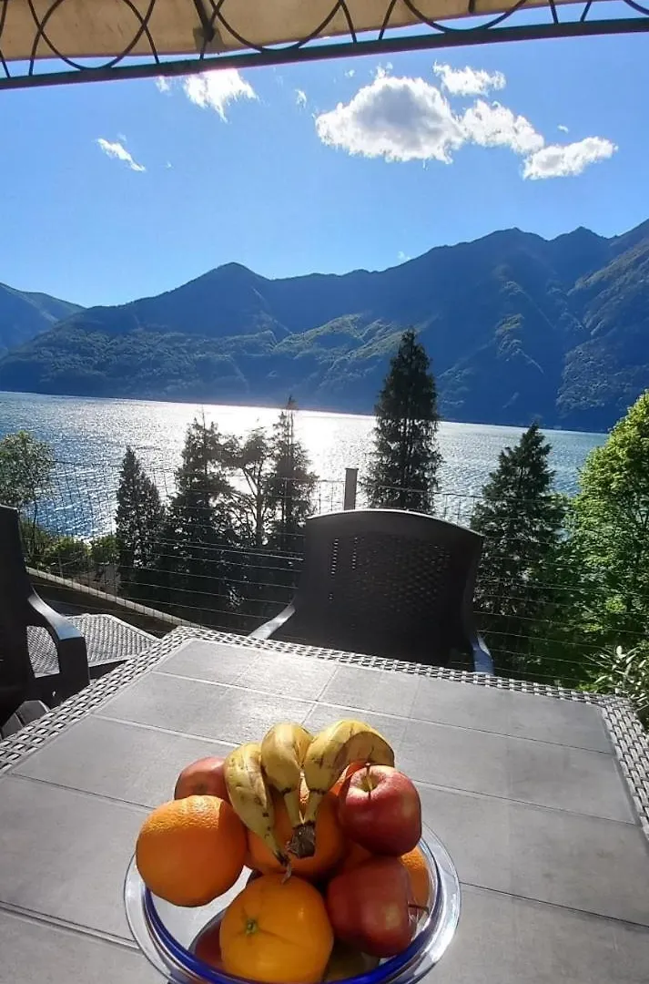 Casa Le Palme Villa Pino Lago Maggiore 0*,