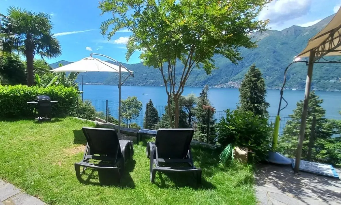 Casa Le Palme Villa Pino Lago Maggiore Holiday home