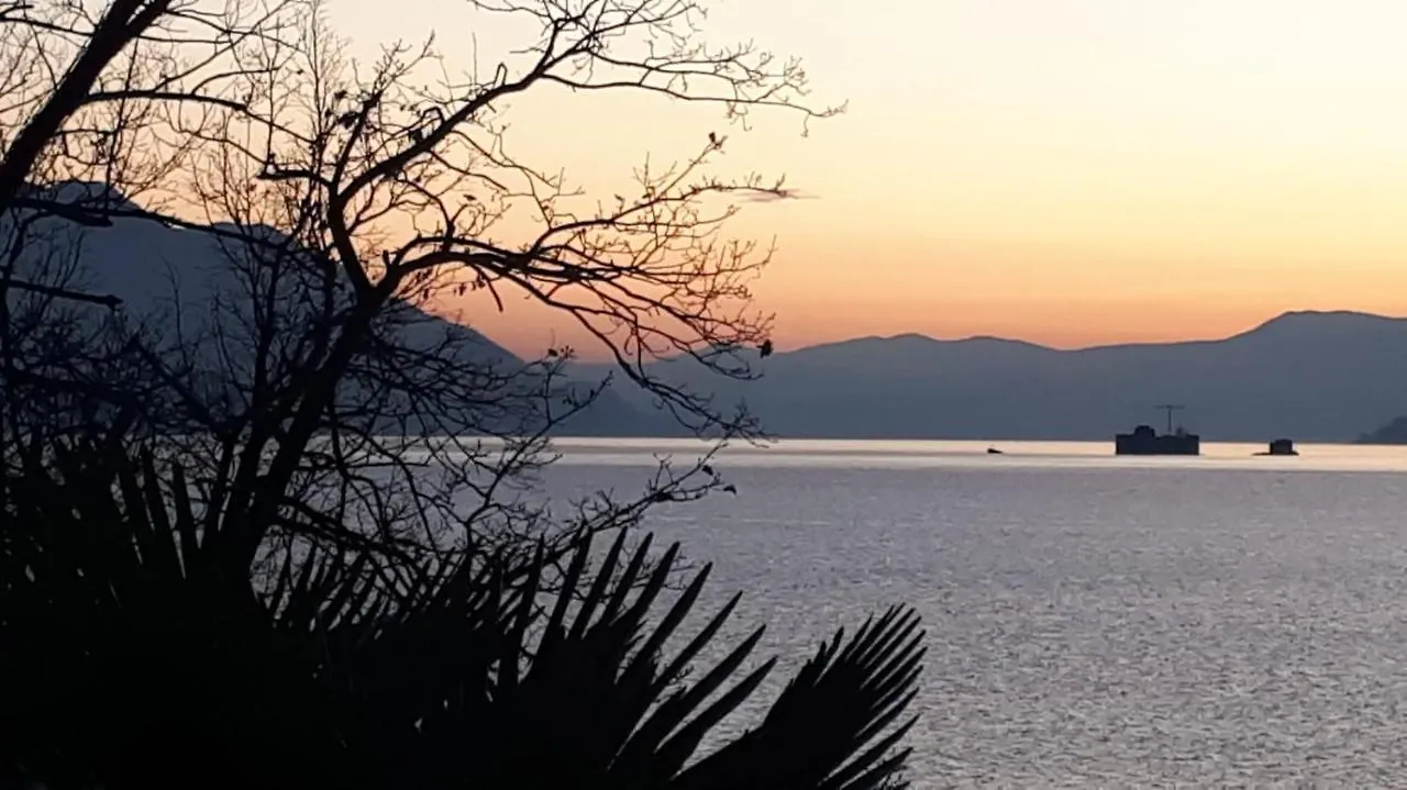 הוילה Pino Lago Maggiore Casa Le Palme